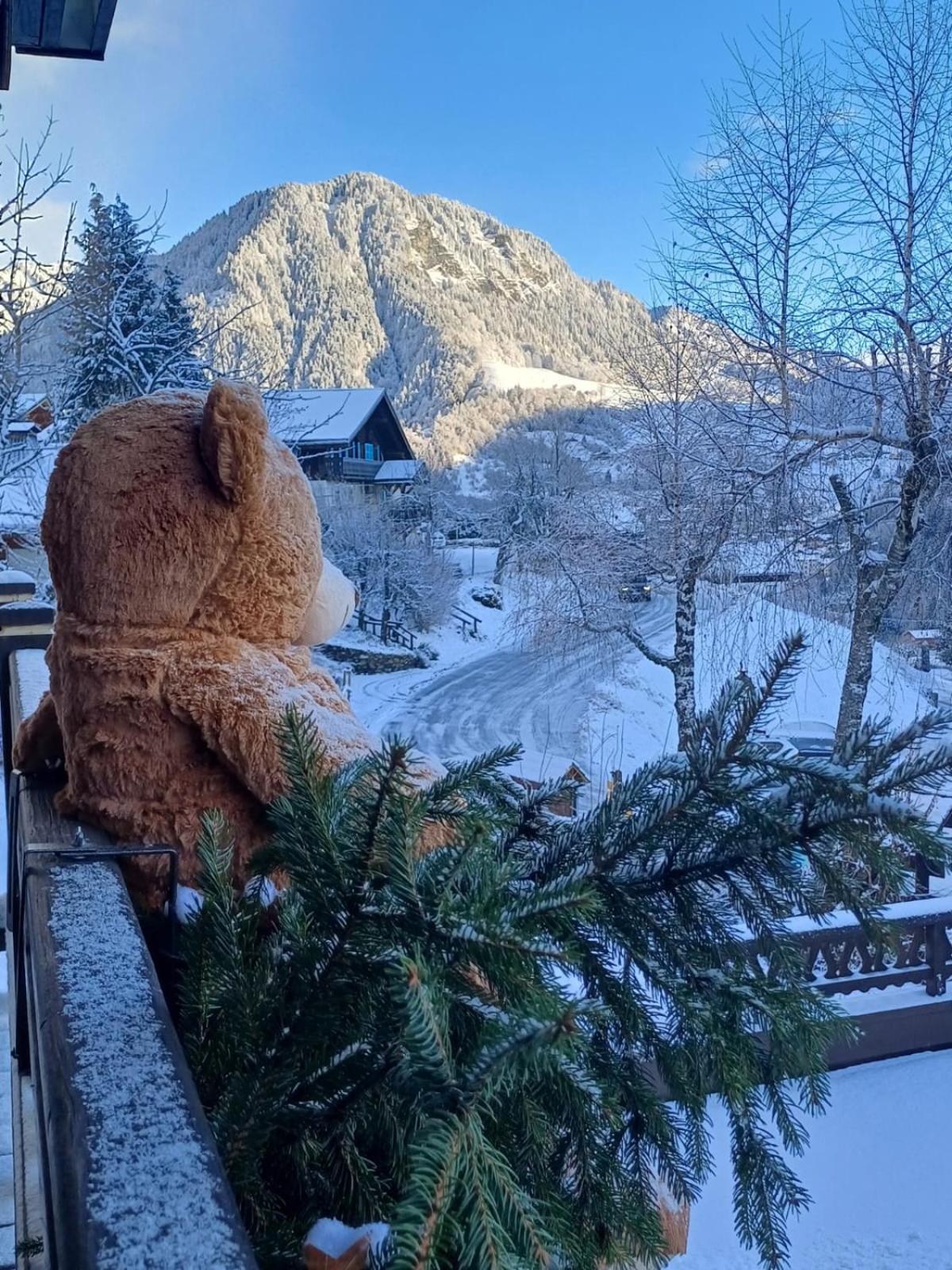 Chalet Appart'Hôtel l'Eau Vive Saint-Nicolas-la-Chapelle  Exterior foto